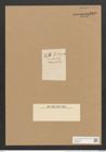 Berkeleya patens (Kuetz.) Grun. (de-Toni-Nr.: Genus 21, Species 1229) Zeichnungen Sammlung Grunow Nr. 2369 (NHMW-BOT-W0369503)